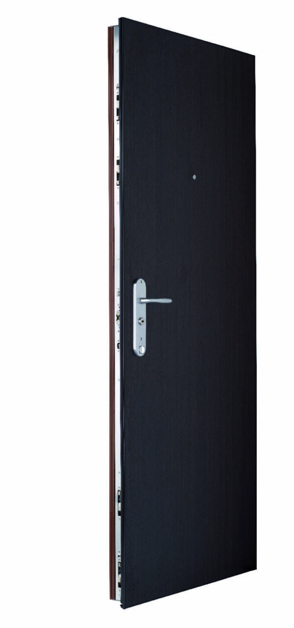 Porte blindée FICHET<br> Sphéris HIS – Image 12