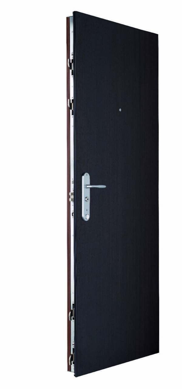 Porte blindée FICHET<br> Sphéris HIS – Image 14